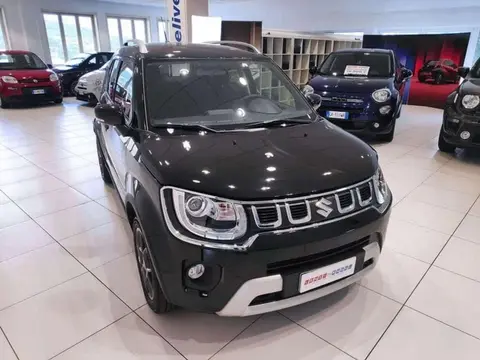 Used SUZUKI IGNIS Hybrid 2024 Ad 