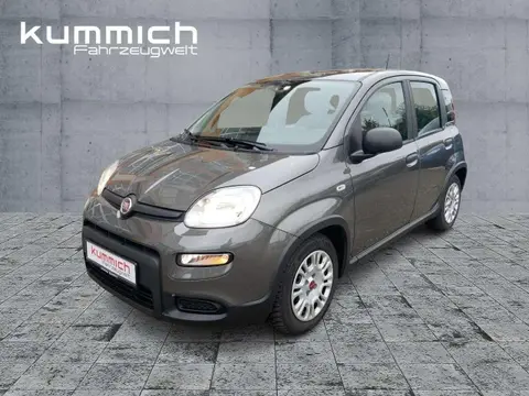 Annonce FIAT PANDA Hybride 2024 d'occasion 