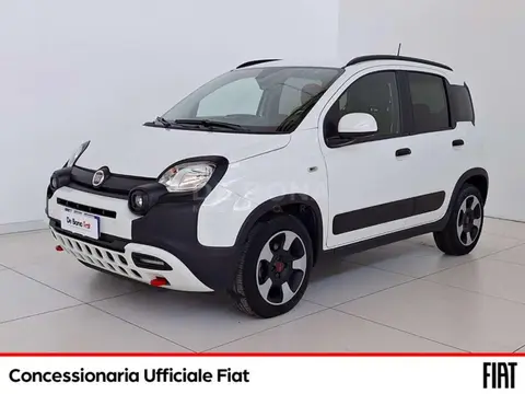 Annonce FIAT PANDA Hybride 2023 d'occasion 