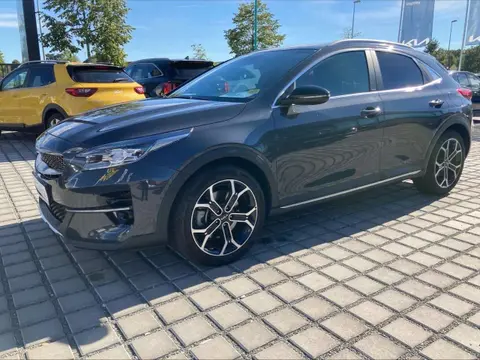 Annonce KIA XCEED Essence 2022 d'occasion 