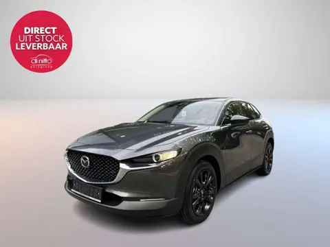 Annonce MAZDA CX-30 Hybride 2024 d'occasion 