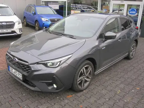 Used SUBARU IMPREZA Petrol 2024 Ad 