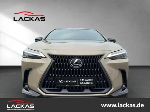 Used LEXUS NX Hybrid 2024 Ad 