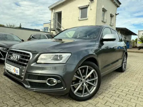 Used AUDI SQ5 Diesel 2016 Ad 