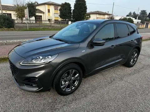 Annonce FORD KUGA Diesel 2022 d'occasion 