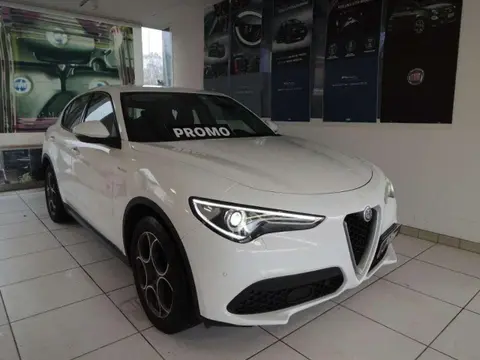 Used ALFA ROMEO STELVIO Diesel 2020 Ad 