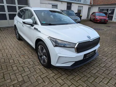 Used SKODA ENYAQ Electric 2021 Ad 