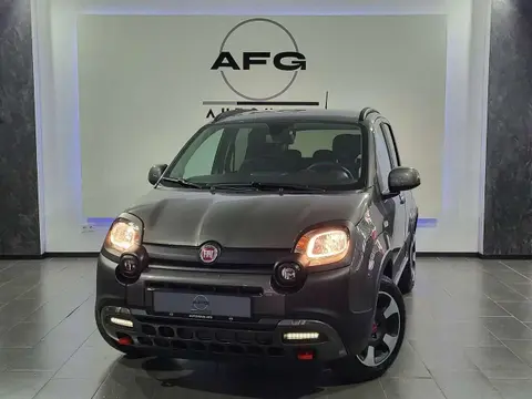 Used FIAT PANDA Hybrid 2024 Ad 