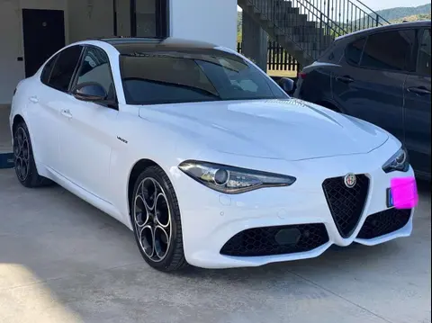 Used ALFA ROMEO GIULIA Diesel 2022 Ad 