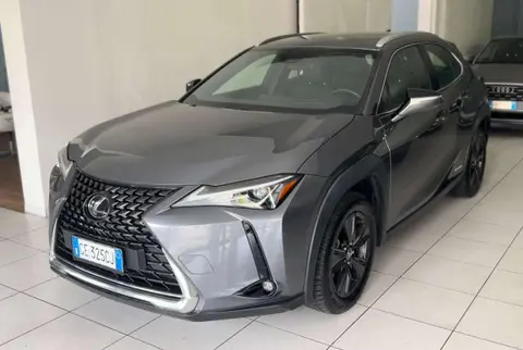 Used LEXUS UX Hybrid 2021 Ad 