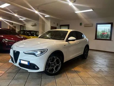 Used ALFA ROMEO STELVIO Diesel 2022 Ad 