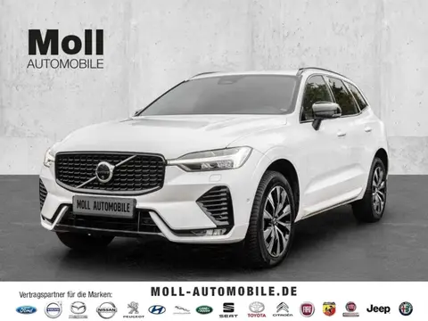 Annonce VOLVO XC60 Diesel 2023 d'occasion 