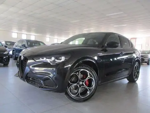 Used ALFA ROMEO STELVIO Diesel 2024 Ad 