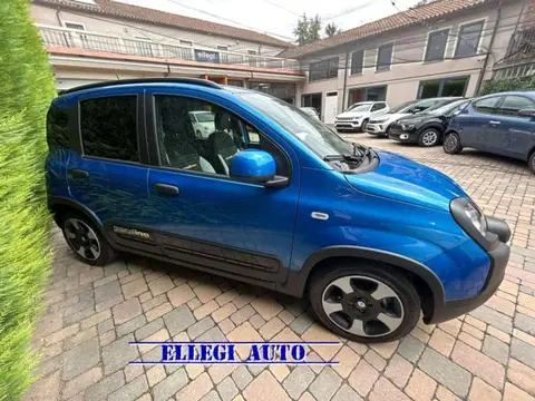 Used FIAT PANDA Hybrid 2024 Ad 