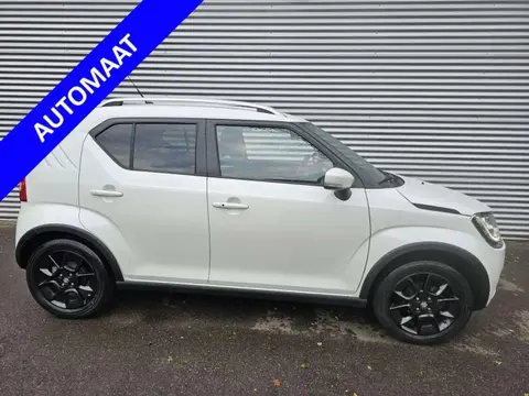 Used SUZUKI IGNIS Petrol 2019 Ad 