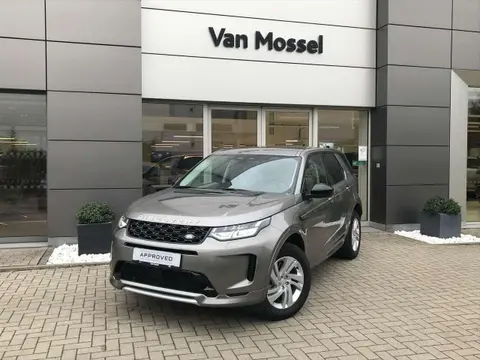 Used LAND ROVER DISCOVERY Hybrid 2023 Ad Belgium