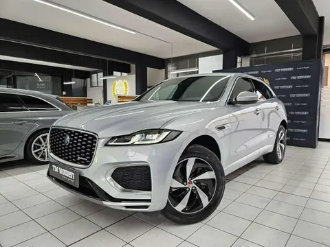 Annonce JAGUAR F-PACE Hybride 2023 d'occasion 