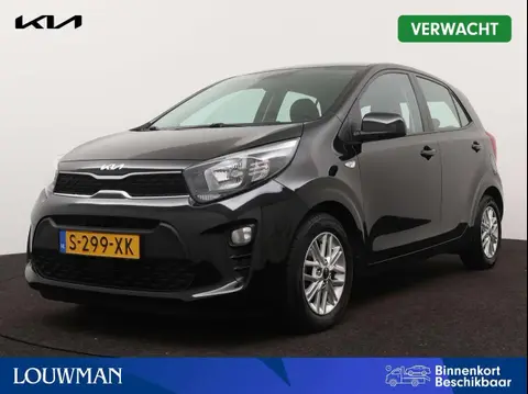 Used KIA PICANTO Petrol 2023 Ad 