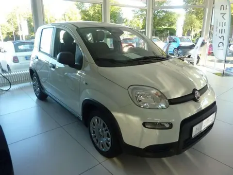 Used FIAT PANDA Petrol 2024 Ad 