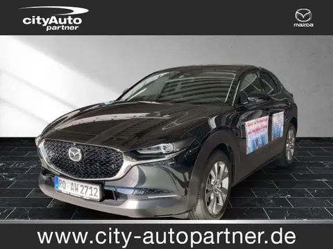 Used MAZDA CX-30 Petrol 2023 Ad Germany