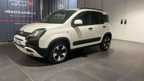 Annonce FIAT PANDA Hybride 2023 d'occasion 