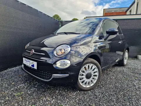 Used FIAT 500 Petrol 2023 Ad 