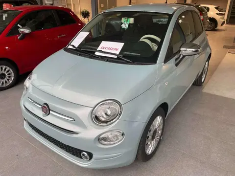 Used FIAT 500 Petrol 2023 Ad 