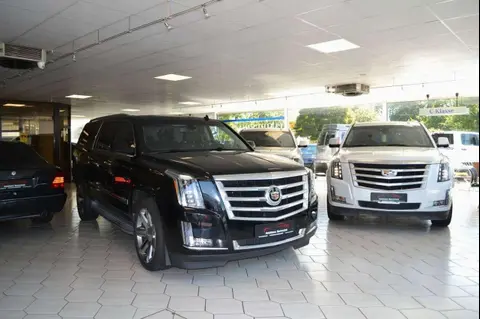 Used CADILLAC ESCALADE Petrol 2016 Ad 