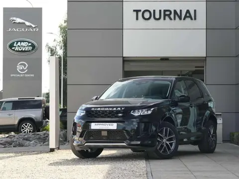 Used LAND ROVER DISCOVERY Hybrid 2024 Ad Belgium