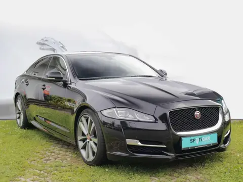 Annonce JAGUAR XJ Diesel 2016 d'occasion 