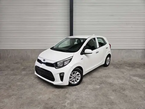 Used KIA PICANTO Petrol 2019 Ad Belgium