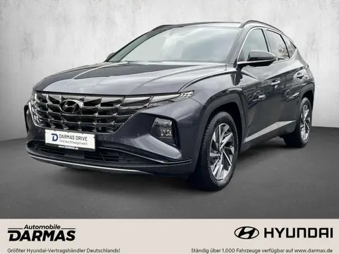 Used HYUNDAI TUCSON Petrol 2024 Ad 