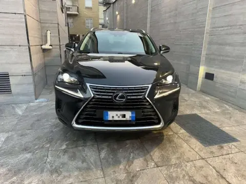 Used LEXUS NX Hybrid 2019 Ad 