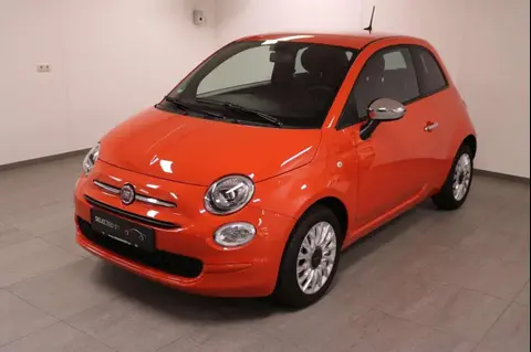 Used FIAT 500 Petrol 2023 Ad 