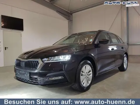 Annonce SKODA OCTAVIA Essence 2024 d'occasion 