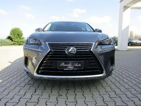 Used LEXUS NX Hybrid 2018 Ad 