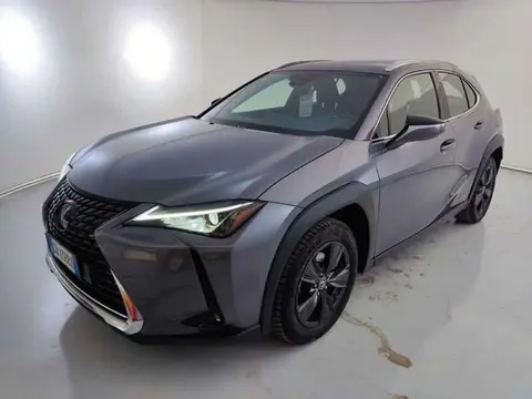 Annonce LEXUS UX Hybride 2020 d'occasion 