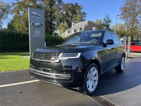 Used LAND ROVER RANGE ROVER Hybrid 2024 Ad 