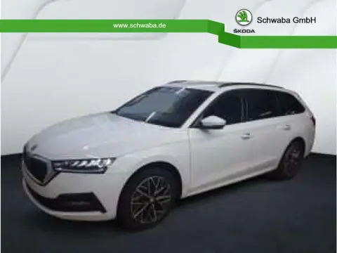 Used SKODA OCTAVIA Petrol 2024 Ad 