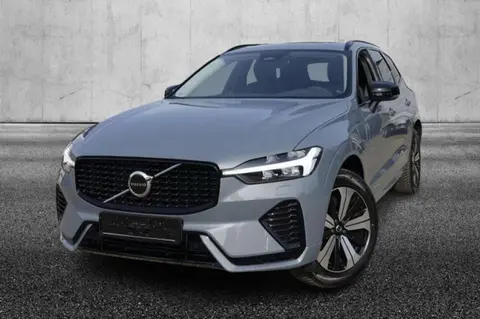 Annonce VOLVO XC60 Hybride 2023 d'occasion 