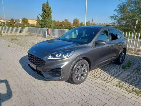 Annonce FORD KUGA Diesel 2021 d'occasion 