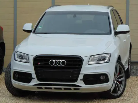 Used AUDI SQ5 Diesel 2016 Ad 