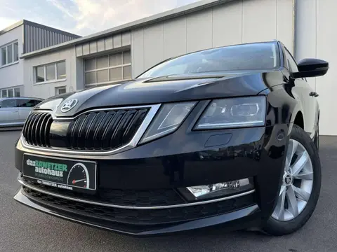 Annonce SKODA OCTAVIA Diesel 2019 d'occasion 