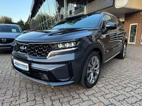 Annonce KIA SORENTO Diesel 2024 d'occasion 