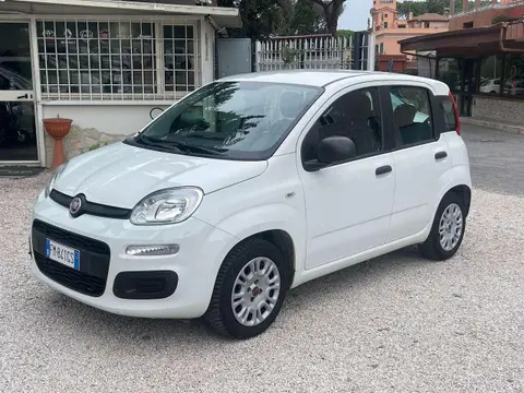 Annonce FIAT PANDA Essence 2017 d'occasion 