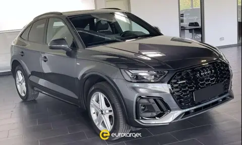 Used AUDI Q5 Hybrid 2023 Ad 