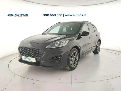 Used FORD KUGA Hybrid 2021 Ad 