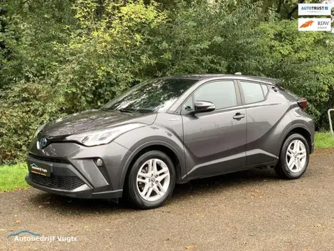 Used TOYOTA C-HR Hybrid 2021 Ad 