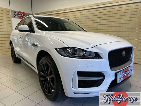 Used JAGUAR F-PACE Diesel 2017 Ad 