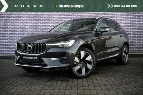 Annonce VOLVO XC60 Hybride 2023 d'occasion 